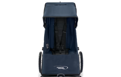 Advance Mobility Freedom push chair seat and five-point harness, front view